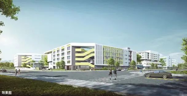 新增近6000个学位！两所&ldquo;华师&rdquo;学校落地顺德