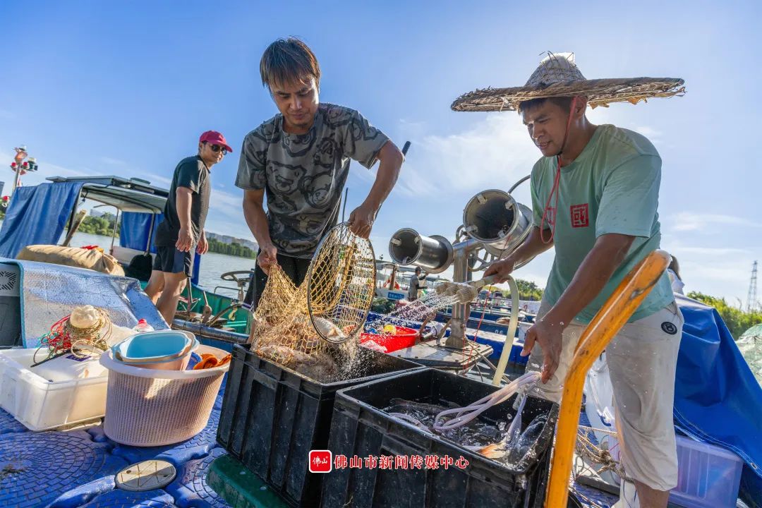 叠石码头日与夜，原汁原味顺德渔民生活全记录&rarr;