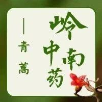 科普 | 既清虚热又能解暑、治疟疾的青蒿