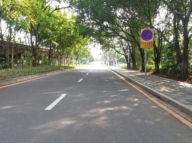 出行更安全、畅通！顺德伦教三洲建设路、振兴路升级改造工程完工