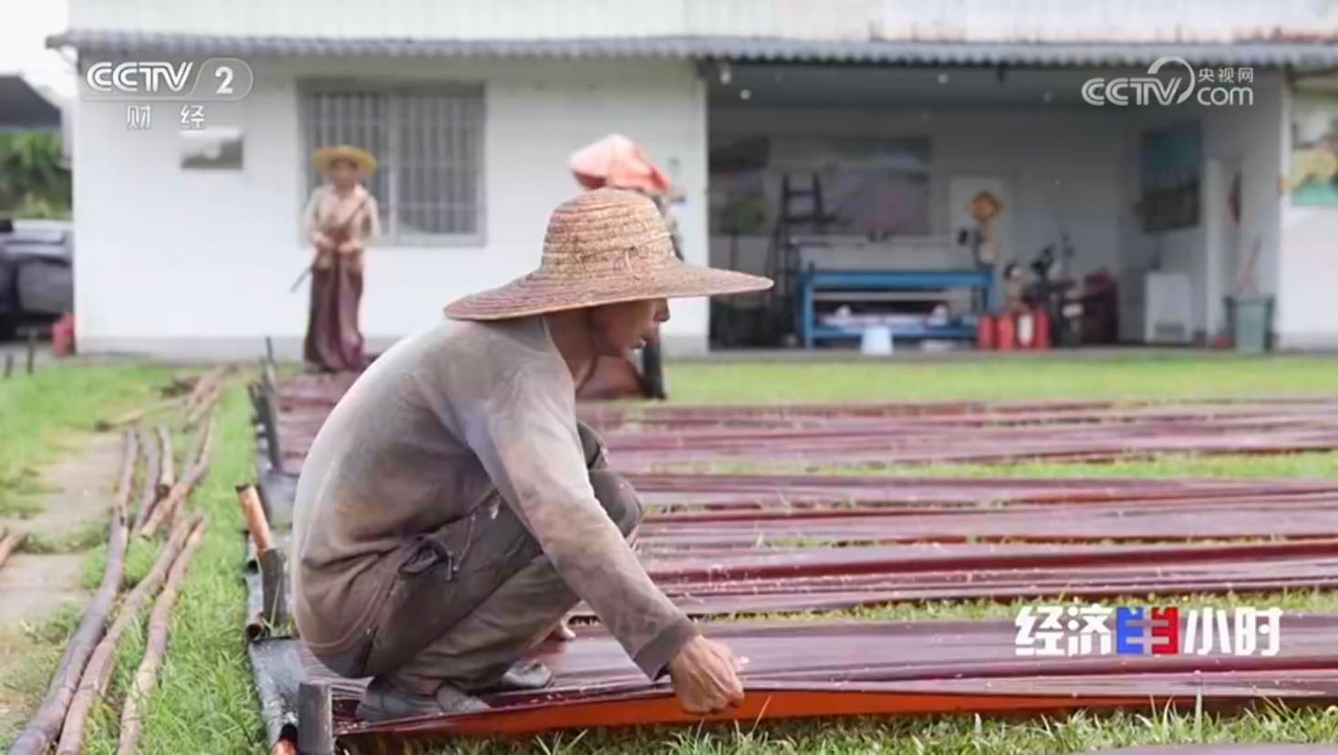 近10分钟！顺德香云纱登上央视《经济半小时》（附视频）