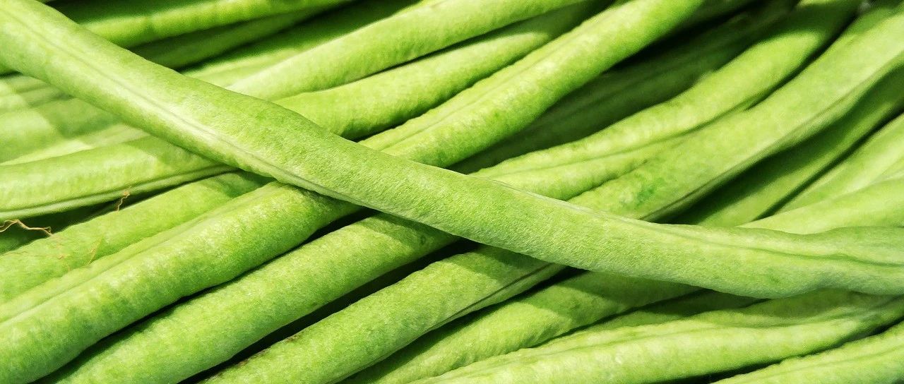 每天 1 把豆角，身体会发生什么变化？有种情况会&ldquo;中毒&rdquo;！