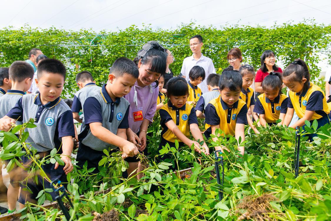 没有黑板的课堂！一开学，佛山校园农场又热闹起来啦