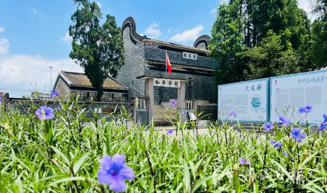 新时代文明实践 | 讲好红色故事，《品读红高明》即将首播！