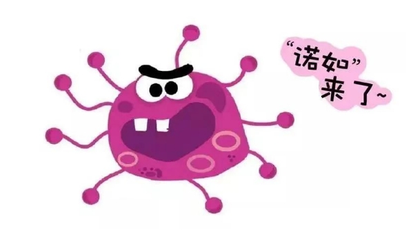 传播快！诺如病毒进入高发期