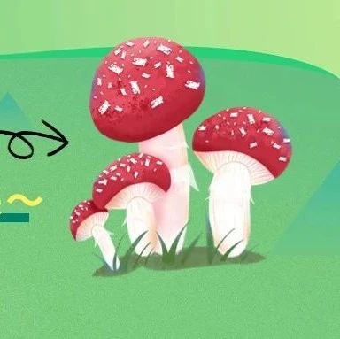 红伞伞，白杆杆，害人的毒蘑菇你可别馋！