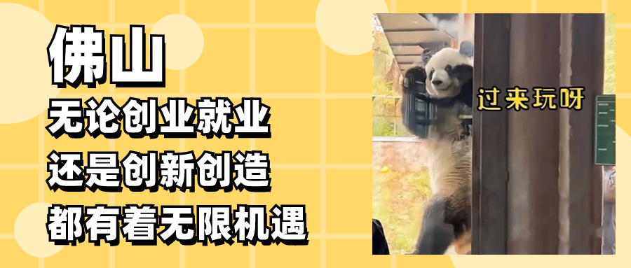 免费入住星级酒店！博士青年来佛求职的&ldquo;暖心第一站&rdquo;