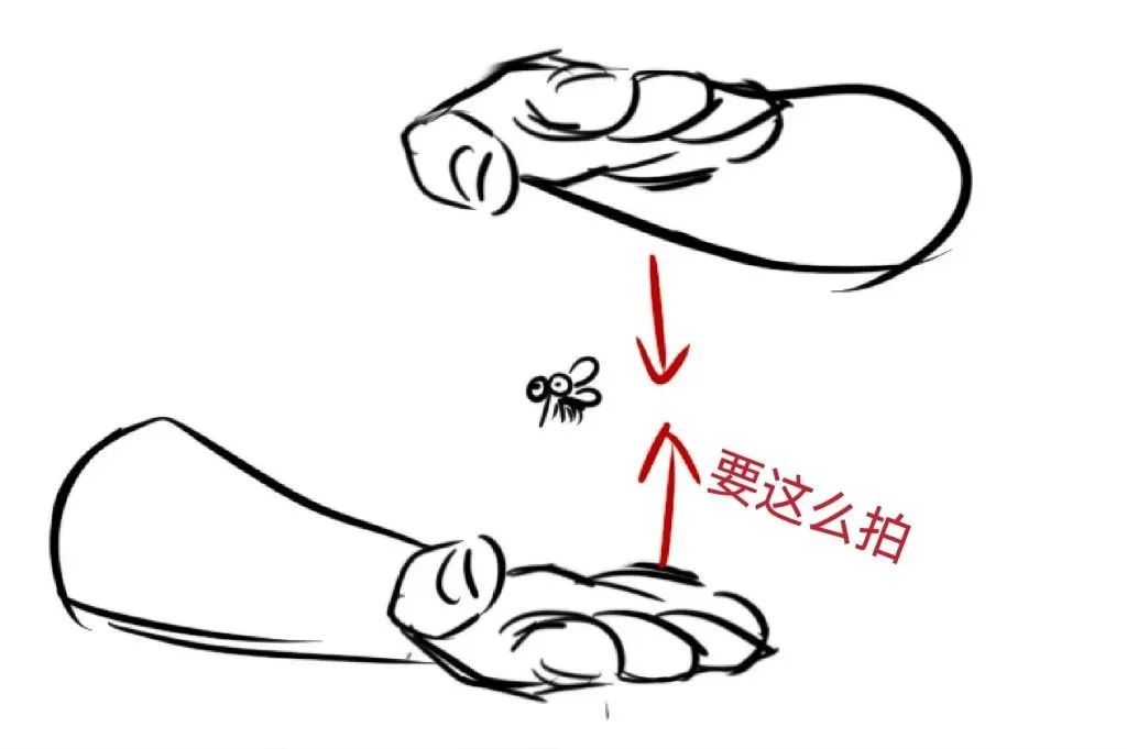 突发高烧皮疹？警惕这种病，可致命！佛山这处流行风险较高！