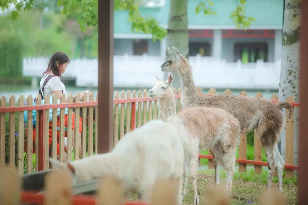 佛山这些高颜值公园，让你在家门口感受&ldquo;诗和远方&rdquo;
