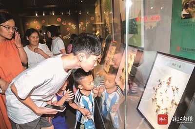 顺德&ldquo;博物馆热&rdquo;持续升温，年轻参观者比例显著攀升
