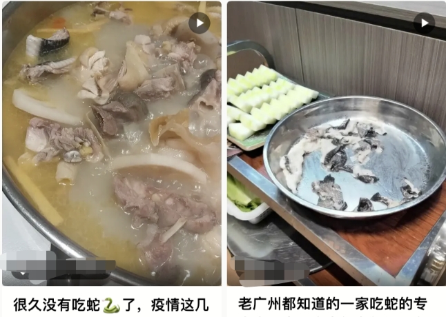有疫病风险！网传&ldquo;可以吃蛇了&rdquo;？官方辟谣&rarr;