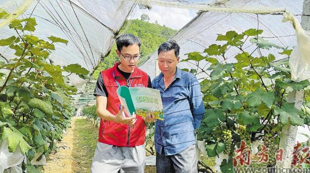 农行顺德分行以金融活水润泽美丽乡村