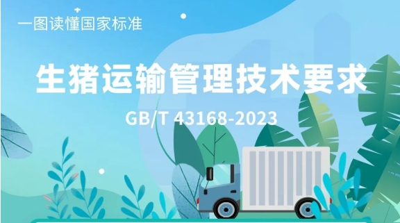 生猪上路有了新要求