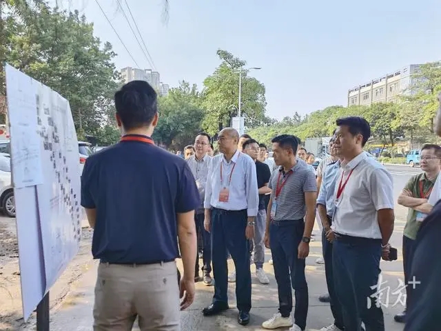 力争明年1月底主线通车，顺德杏坛水乡大道改造再提速
