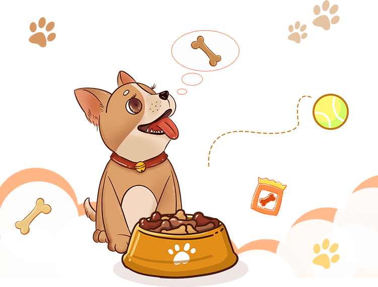 网络文明传播 | 文明养宠，从我做起