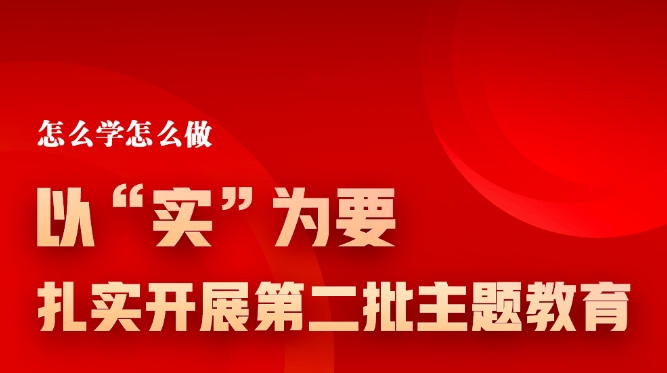 以&ldquo;实&rdquo;为要，扎实开展第二批主题教育