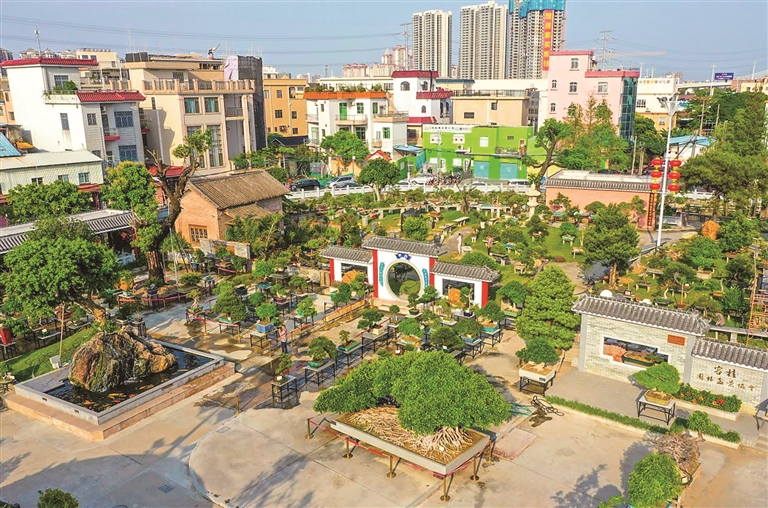 顺德区容桂街道细滘社区： 建设更高品质的美丽&ldquo;南大门&rdquo;
