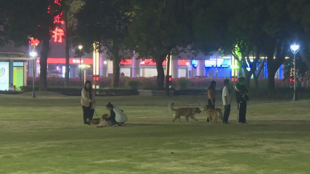 文明养犬不掉&ldquo;链&rdquo;，佛山推进文明养犬管理