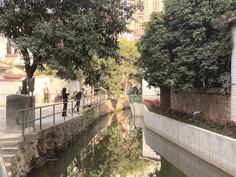 乐从实现本年度黑臭水体清零目标