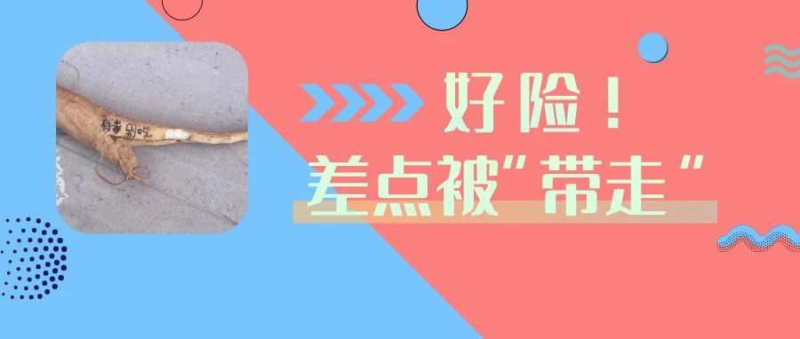 误食&ldquo;人参&rdquo;后昏睡17个小时？紧急提醒&rarr;
