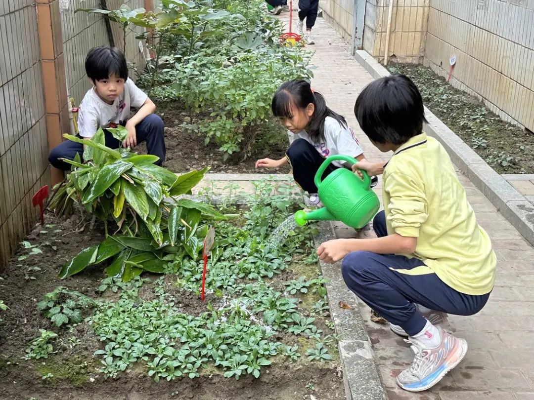 禅城区南庄镇南庄小学：让文明之花在学生心中绽放
