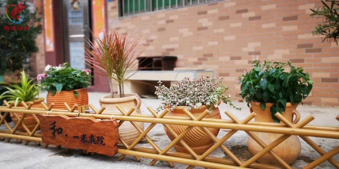一米生花、百户铺开！佛山这个&ldquo;一米庭院&rdquo;吹出文明家风