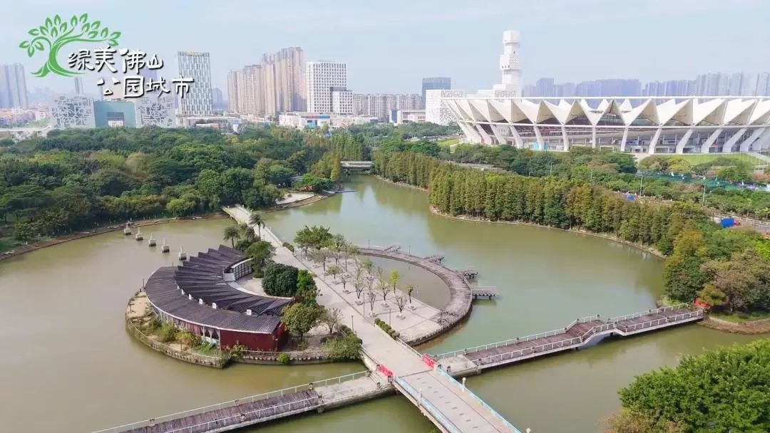 漫步&ldquo;森林&rdquo;CBD！佛山三龙湾这个宝藏公园，快约起！