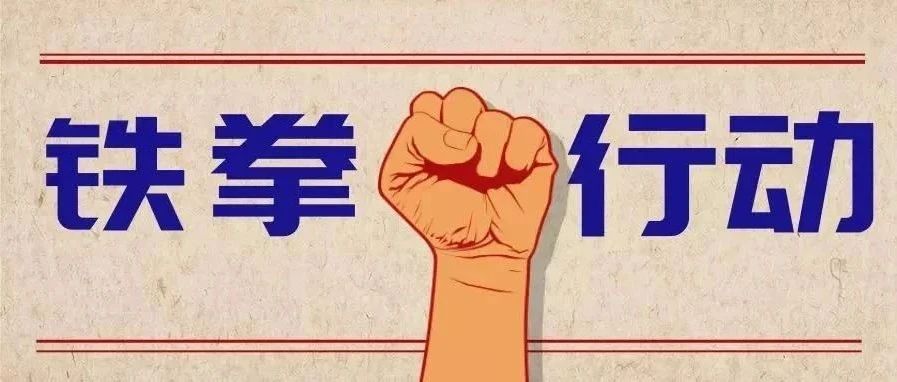 2023民生领域案件查办&ldquo;铁拳&rdquo;行动典型案例（第十一批）