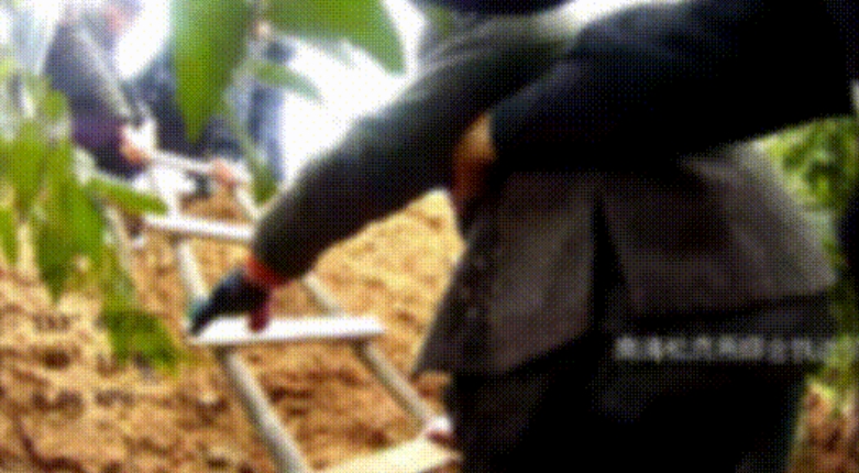 阿婆凌晨走进荒山，最后竟在这里被发现&hellip;&hellip;