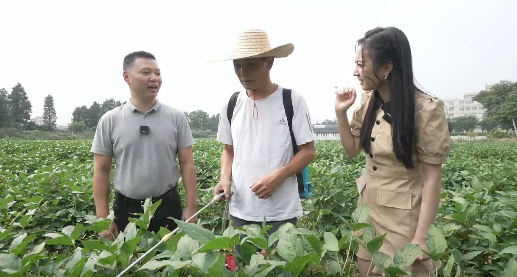  一起到佛山农田寻找&ldquo;无废之宝&rdquo;