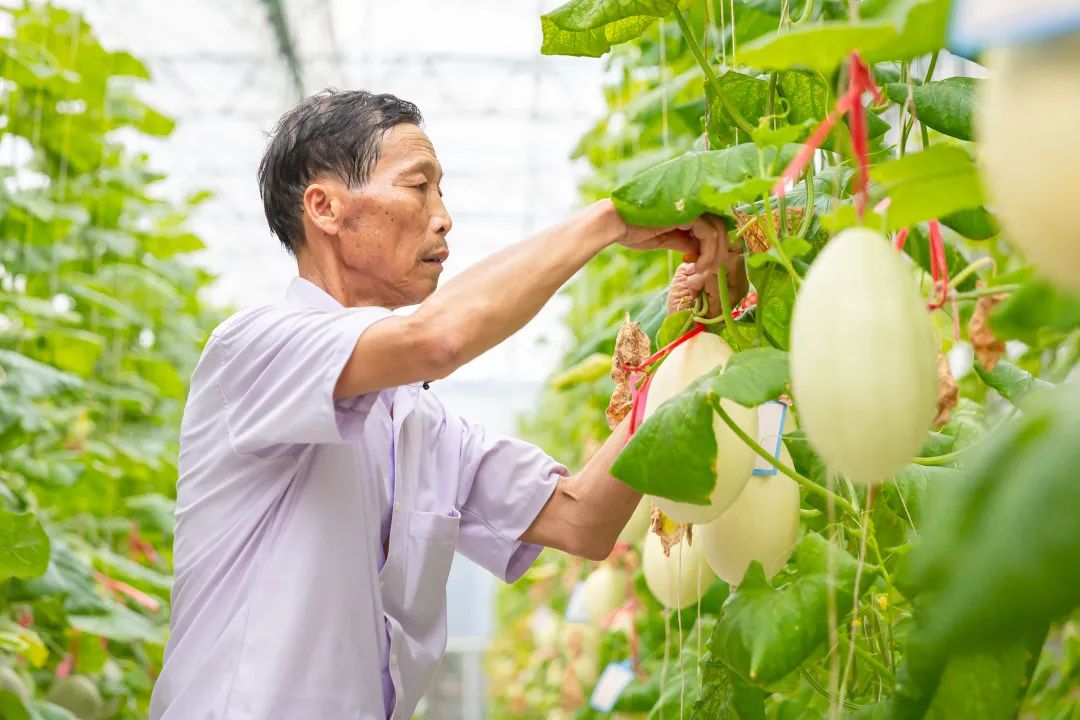卖了30多年菜后，他决定带头做好这件事
