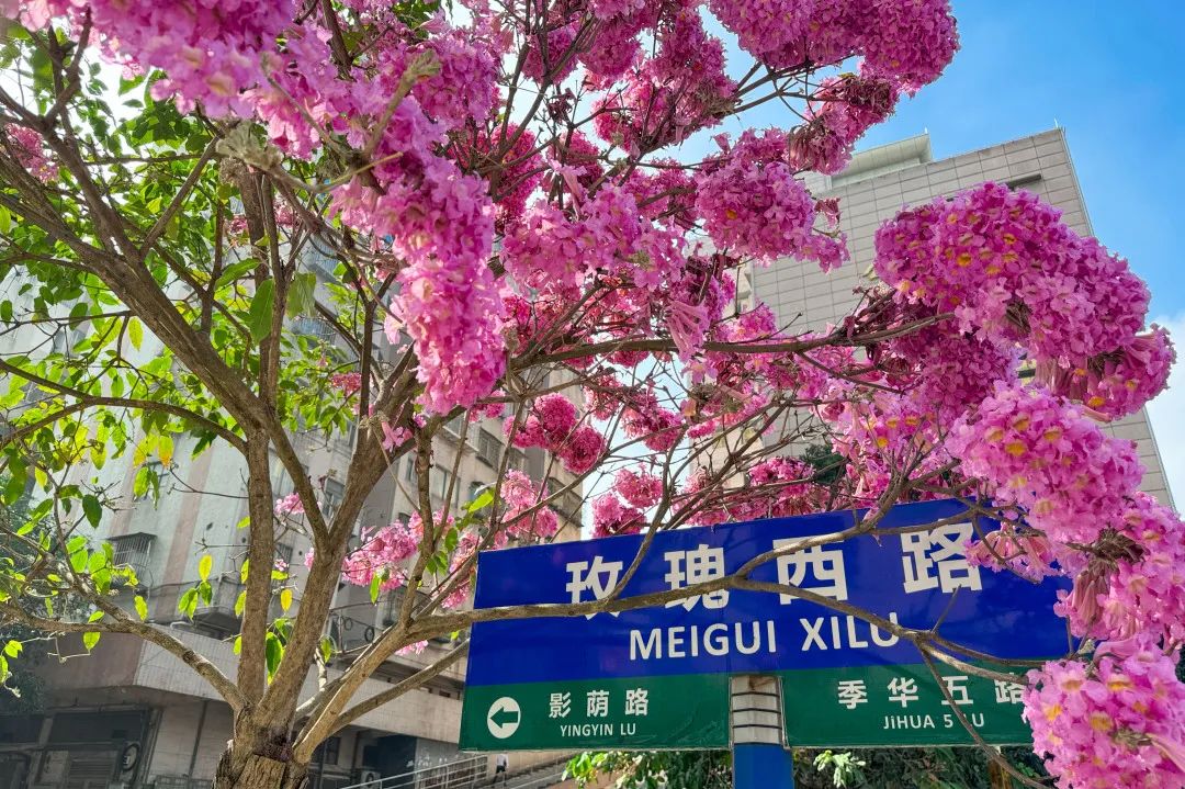 这样的佛山，让你一眼心动！