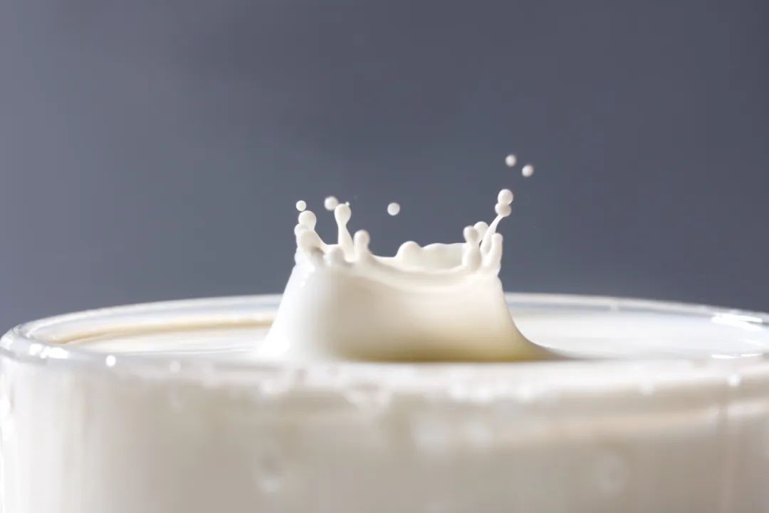 复原乳是假牛奶？小众奶更有营养？这些真相一次说清楚！