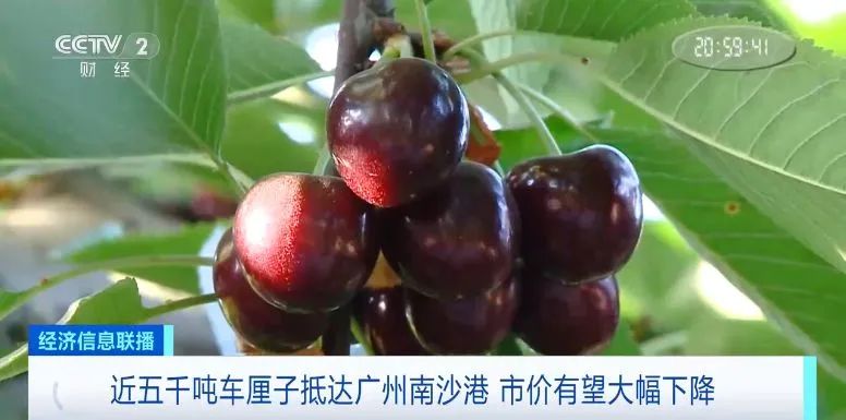 J、JJ、JJJ；L、R、D&hellip;3分钟带你掌握车厘子的密码&rarr;