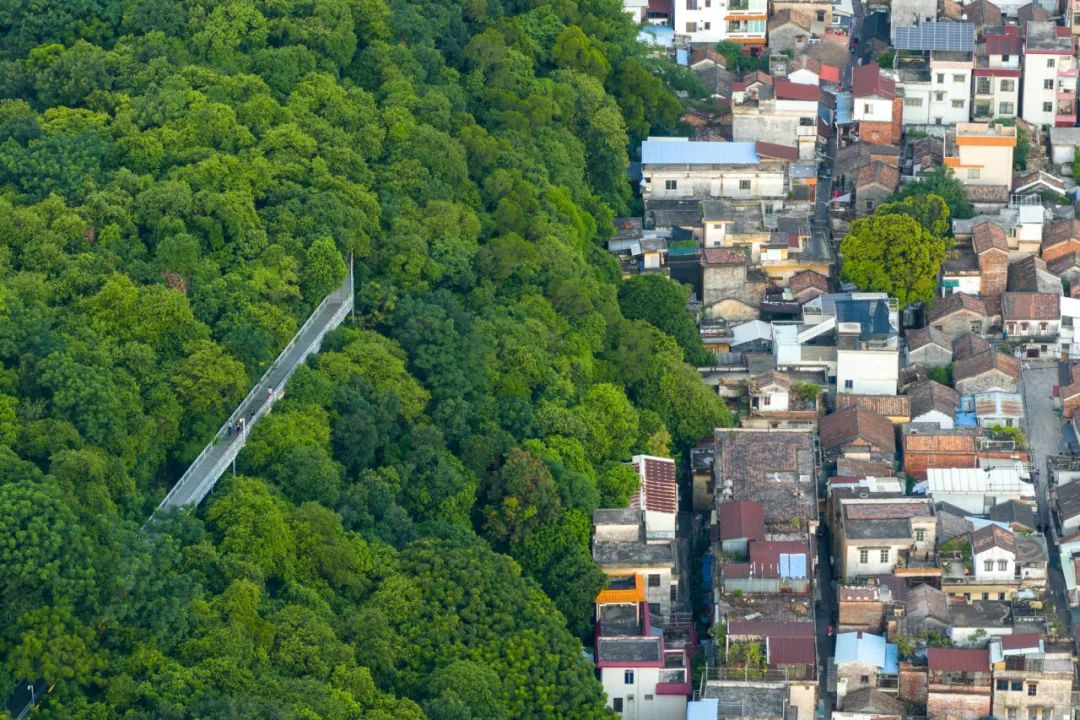 让贾玲减了100斤的电影，在顺德多个地点取景&hellip;&hellip;