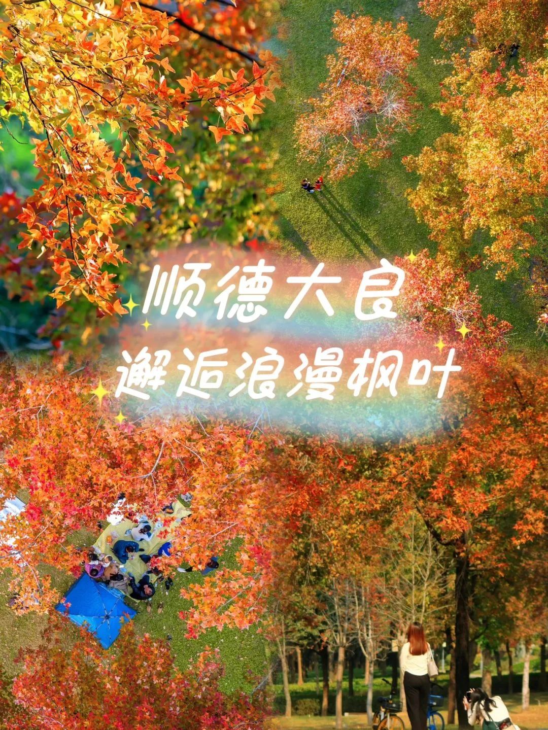 准备好了吗？带你寻找顺德最浪漫的红枫！