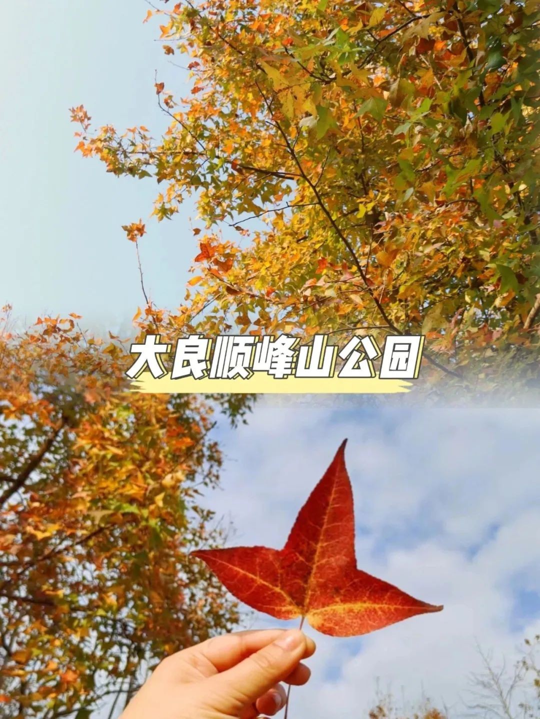 佛山版&ldquo;繁花&rdquo;，在这里！