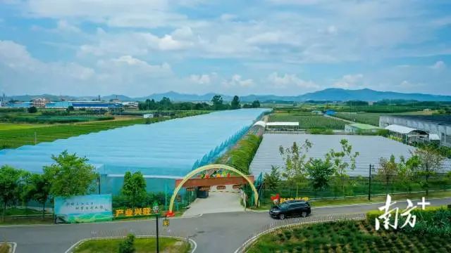 获评&ldquo;广东省十大乡村振兴示范带&rdquo;，这里邀您来体验！