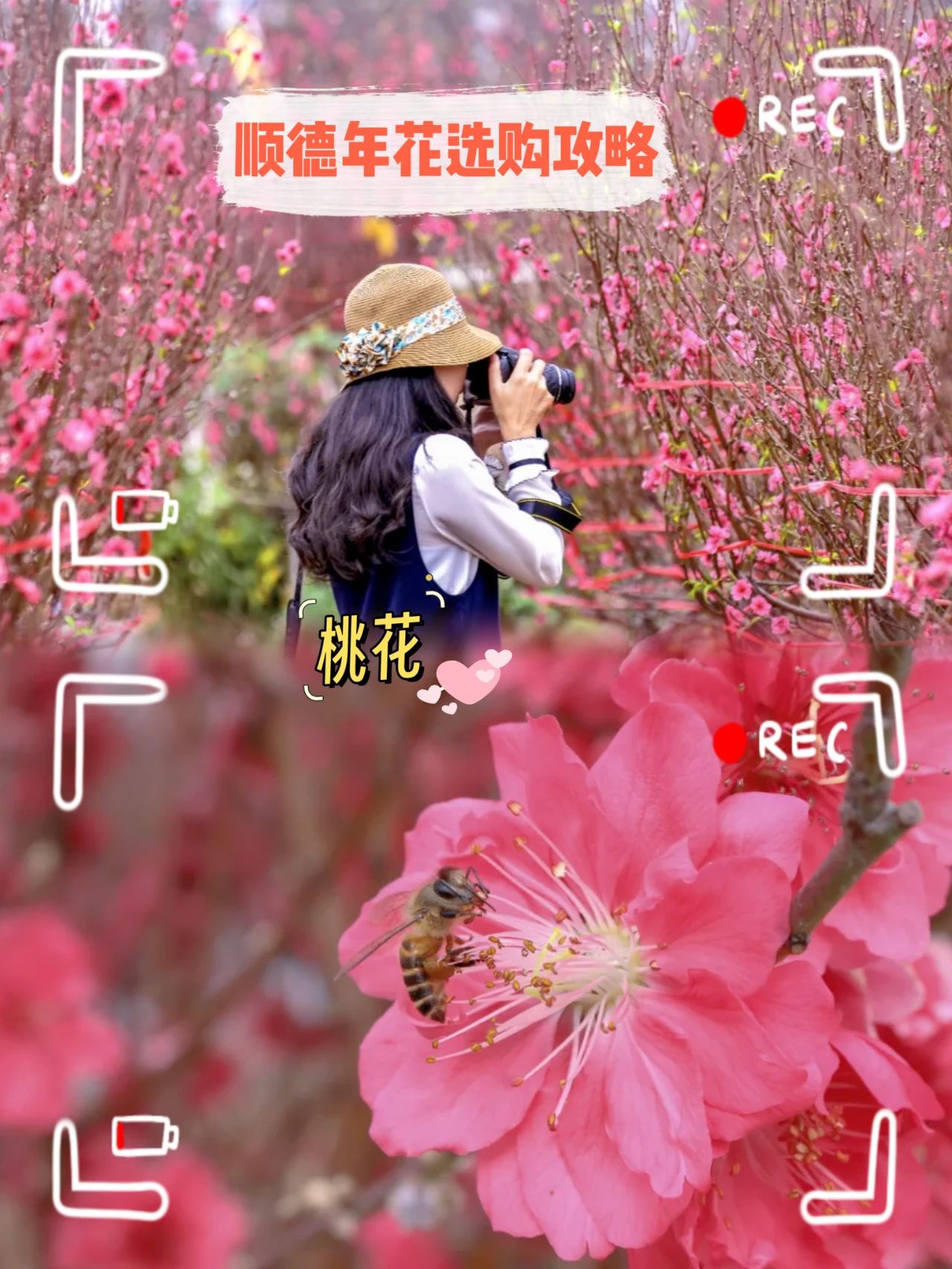 好一朵迎春花！顺德人选年花有讲究&rarr;