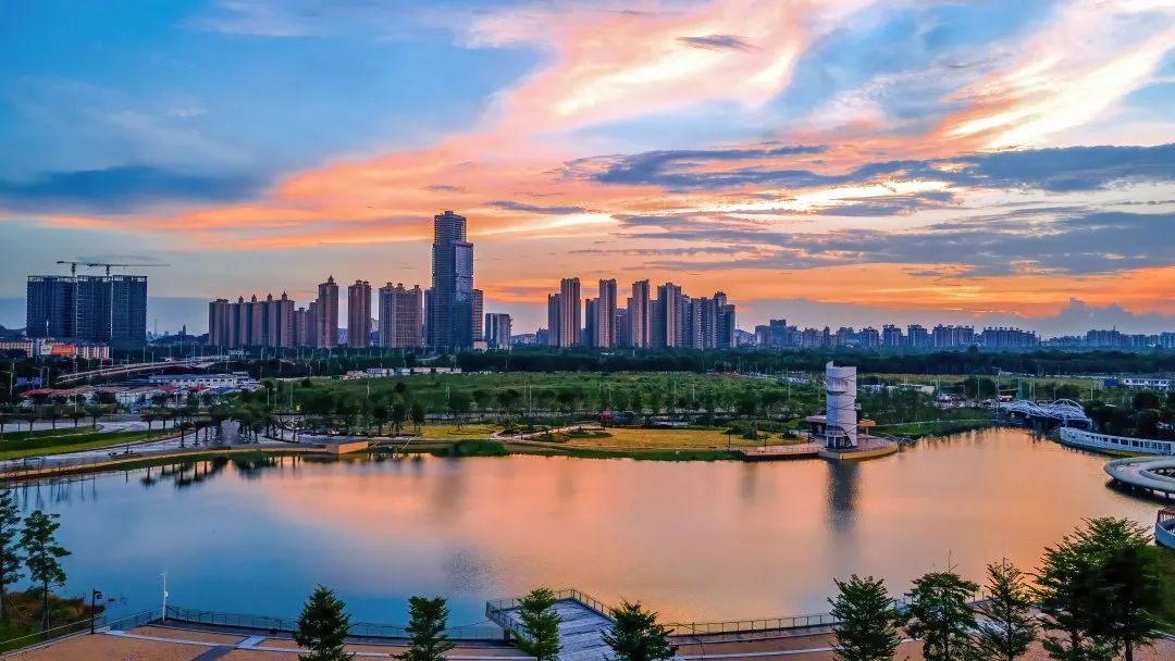 亮点满满！这是一份来自顺德的治水答卷
