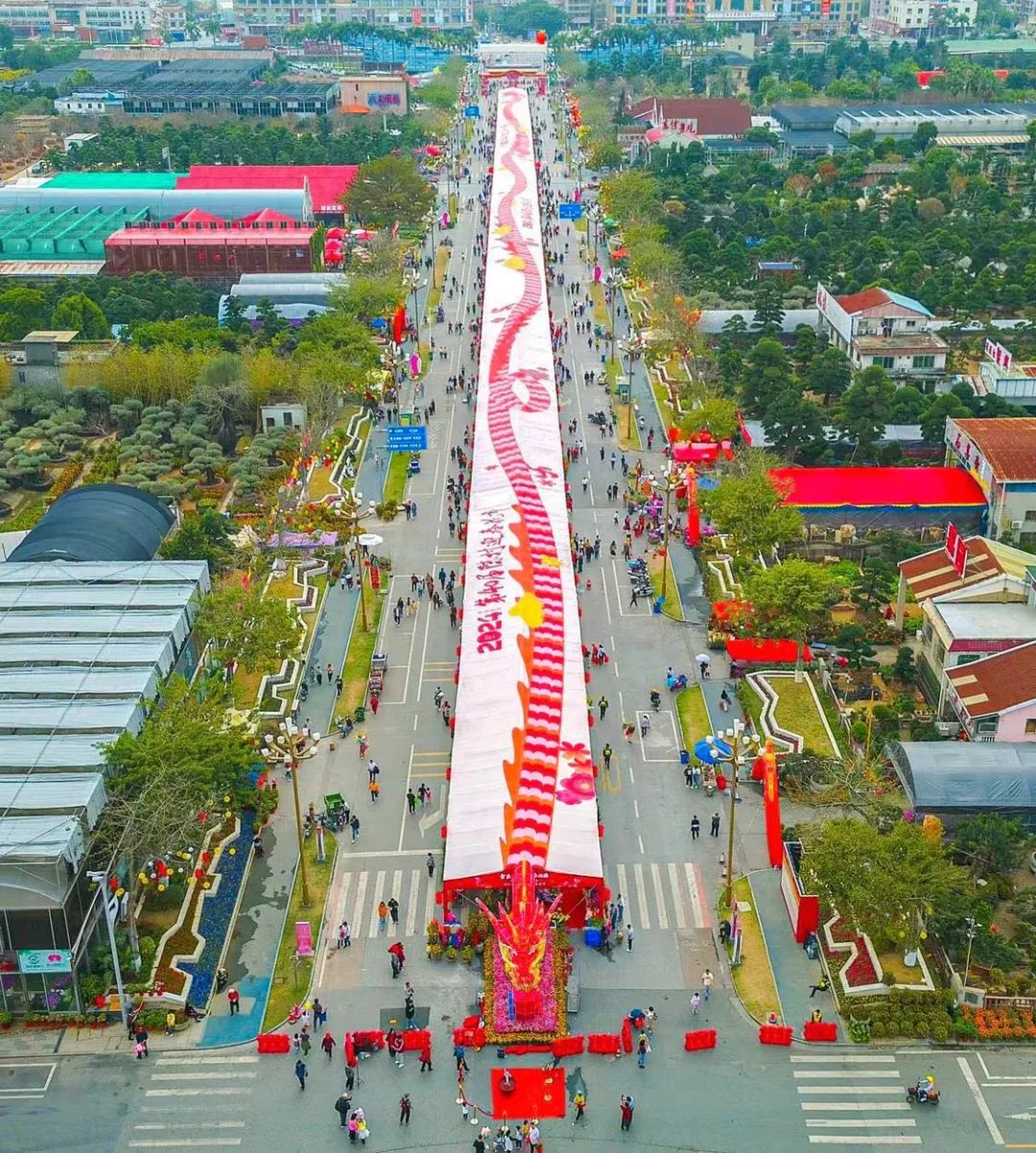 世界最高桔塔！近100家餐企！400米花市&ldquo;巨龙&rdquo;亮相顺德