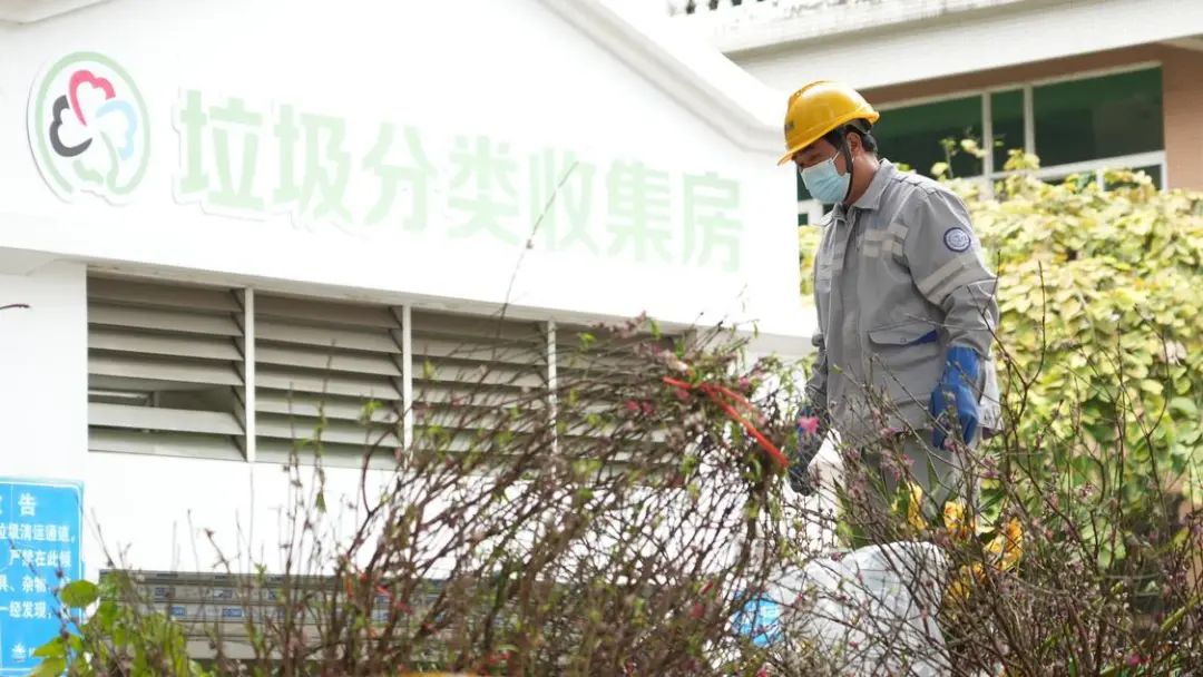变废为宝，年花年桔别乱扔！佛山五区收集点&rarr;