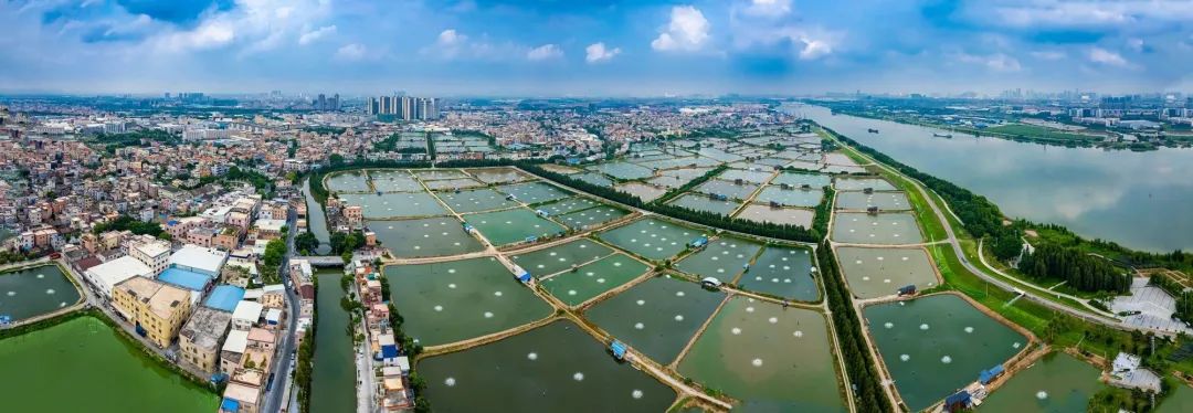 让水往&ldquo;高处&rdquo;流，2024顺德这样干！