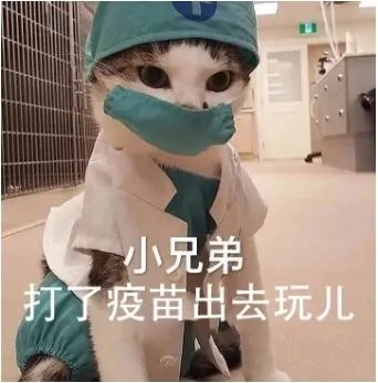 这些疫苗很重要！没有补种的抓紧，关乎上学&rarr;