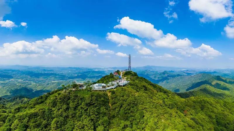 共建绿美家园，参与&ldquo;爱心一元捐&rdquo;让绿在心中
