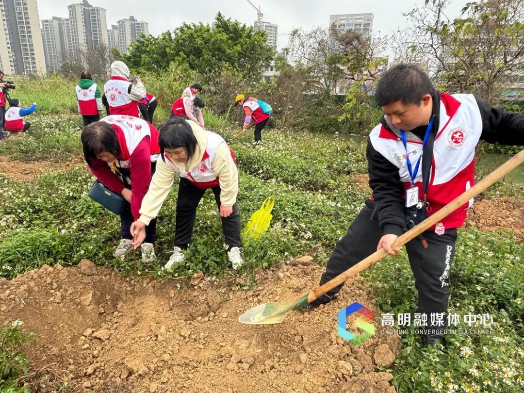 志愿之城 | 有喜&ldquo;柿&rdquo;来种树！&ldquo;红马甲&rdquo;共绘绿美新家园