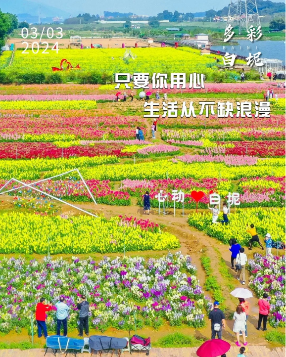 多彩白坭&bull;每日一图丨只要你用心，生活从不缺浪漫
