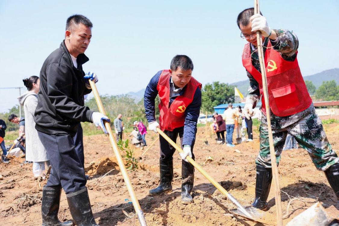 春光正好齐植绿！佛山打造首片社会组织公益&ldquo;红树林&rdquo;