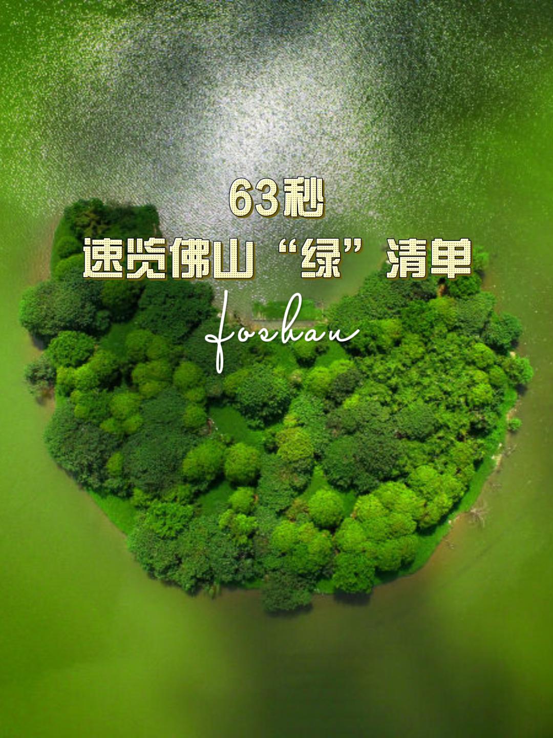 看！63秒速览佛山&ldquo;绿&rdquo;清单