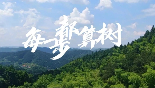&ldquo;绿美广东&rdquo;主题公益宣传《每一步 都算树》